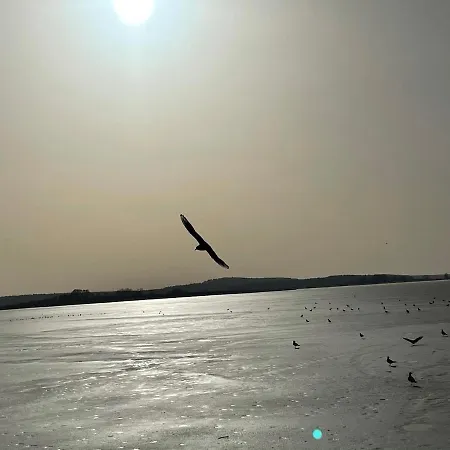 Seebadallee Mit Wallbox Fuer E-autos *