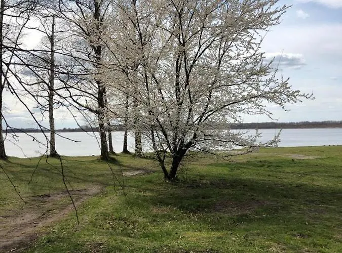 Daire Seebadallee Mit Wallbox Fuer E-autos Rangsdorf