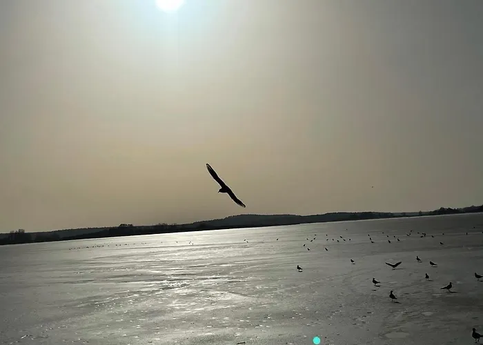 Seebadallee Mit Wallbox Fuer E-autos *