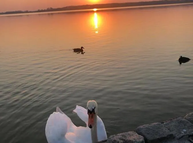 Daire Seebadallee Mit Wallbox Fuer E-autos Rangsdorf