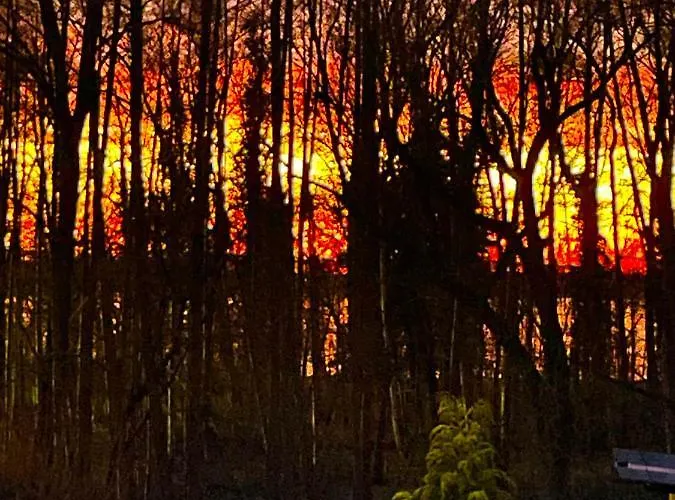 Seebadallee Mit Wallbox Fuer E-autos Daire